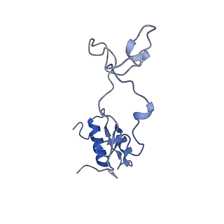 15860_8b5l_e_v1-1
Cryo-EM structure of ribosome-Sec61-TRAP (TRanslocon Associated Protein) translocon complex