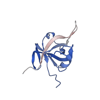 15860_8b5l_f_v1-1
Cryo-EM structure of ribosome-Sec61-TRAP (TRanslocon Associated Protein) translocon complex