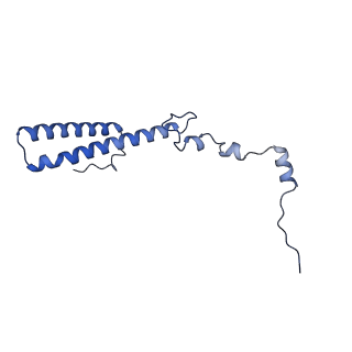 15860_8b5l_h_v1-1
Cryo-EM structure of ribosome-Sec61-TRAP (TRanslocon Associated Protein) translocon complex