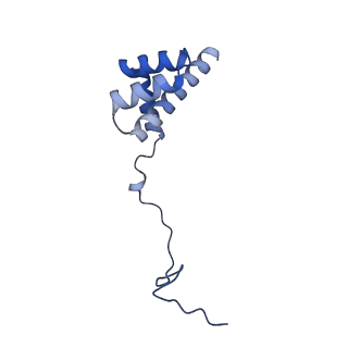 15860_8b5l_i_v1-1
Cryo-EM structure of ribosome-Sec61-TRAP (TRanslocon Associated Protein) translocon complex