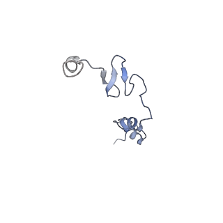 15860_8b5l_j_v1-1
Cryo-EM structure of ribosome-Sec61-TRAP (TRanslocon Associated Protein) translocon complex