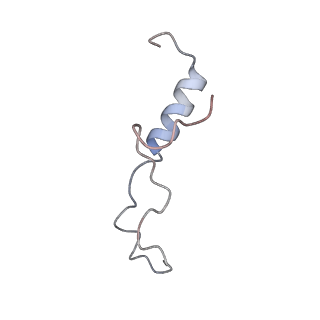 15860_8b5l_l_v1-1
Cryo-EM structure of ribosome-Sec61-TRAP (TRanslocon Associated Protein) translocon complex