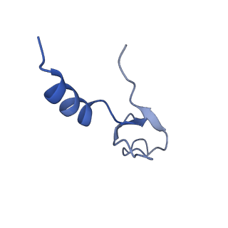 15860_8b5l_m_v1-1
Cryo-EM structure of ribosome-Sec61-TRAP (TRanslocon Associated Protein) translocon complex
