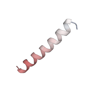15860_8b5l_n_v1-1
Cryo-EM structure of ribosome-Sec61-TRAP (TRanslocon Associated Protein) translocon complex