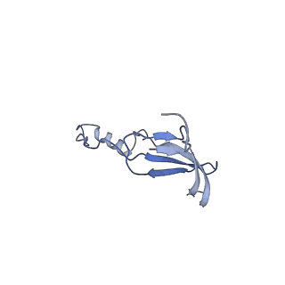 15860_8b5l_o_v1-1
Cryo-EM structure of ribosome-Sec61-TRAP (TRanslocon Associated Protein) translocon complex