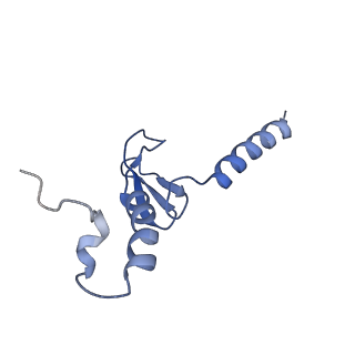 15860_8b5l_p_v1-1
Cryo-EM structure of ribosome-Sec61-TRAP (TRanslocon Associated Protein) translocon complex
