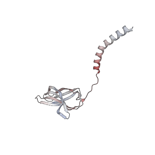 15860_8b5l_q_v1-1
Cryo-EM structure of ribosome-Sec61-TRAP (TRanslocon Associated Protein) translocon complex