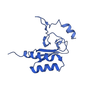 15860_8b5l_r_v1-1
Cryo-EM structure of ribosome-Sec61-TRAP (TRanslocon Associated Protein) translocon complex