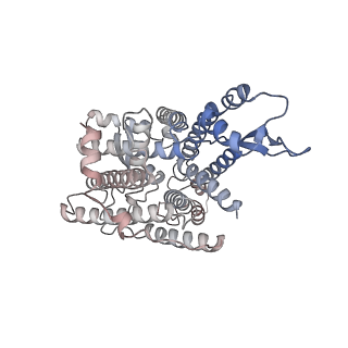 15860_8b5l_s_v1-1
Cryo-EM structure of ribosome-Sec61-TRAP (TRanslocon Associated Protein) translocon complex