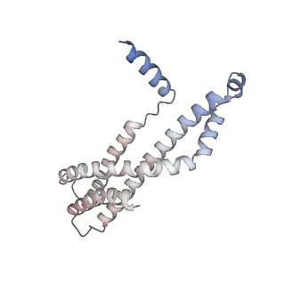 15860_8b5l_t_v1-1
Cryo-EM structure of ribosome-Sec61-TRAP (TRanslocon Associated Protein) translocon complex