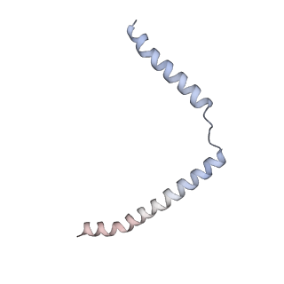 15860_8b5l_u_v1-1
Cryo-EM structure of ribosome-Sec61-TRAP (TRanslocon Associated Protein) translocon complex