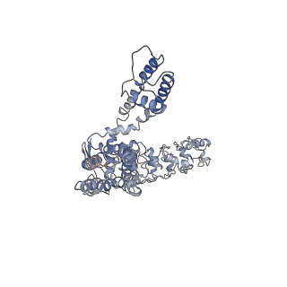 7058_6b5v_C_v1-3
Structure of TRPV5 in complex with econazole