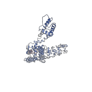 7058_6b5v_C_v1-4
Structure of TRPV5 in complex with econazole