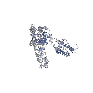 7058_6b5v_D_v1-3
Structure of TRPV5 in complex with econazole