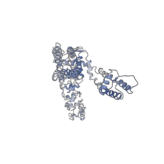 7058_6b5v_D_v1-4
Structure of TRPV5 in complex with econazole