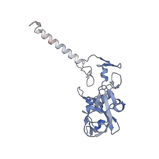 15862_8b64_H_v1-2
Cryo-EM structure of RC-LH1-PufX photosynthetic core complex from Rba. capsulatus