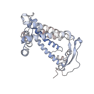 15862_8b64_M_v1-2
Cryo-EM structure of RC-LH1-PufX photosynthetic core complex from Rba. capsulatus