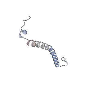 15862_8b64_X_v1-2
Cryo-EM structure of RC-LH1-PufX photosynthetic core complex from Rba. capsulatus