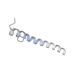 15862_8b64_s_v1-2
Cryo-EM structure of RC-LH1-PufX photosynthetic core complex from Rba. capsulatus