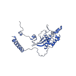 15863_8b6c_D_v1-1
Cryo-EM structure of ribosome-Sec61 in complex with cyclotriazadisulfonamide derivative CK147