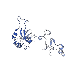 15863_8b6c_E_v1-1
Cryo-EM structure of ribosome-Sec61 in complex with cyclotriazadisulfonamide derivative CK147