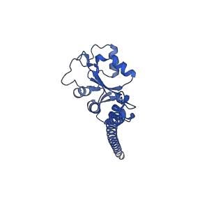 15863_8b6c_F_v1-1
Cryo-EM structure of ribosome-Sec61 in complex with cyclotriazadisulfonamide derivative CK147