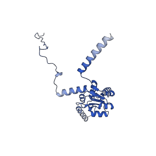 15863_8b6c_G_v1-1
Cryo-EM structure of ribosome-Sec61 in complex with cyclotriazadisulfonamide derivative CK147