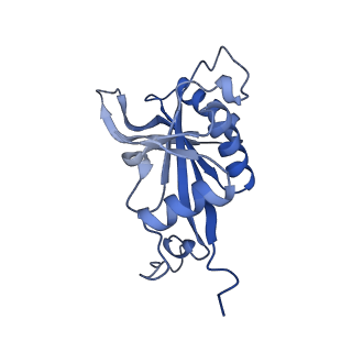 15863_8b6c_J_v1-1
Cryo-EM structure of ribosome-Sec61 in complex with cyclotriazadisulfonamide derivative CK147