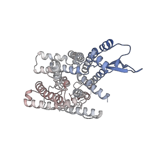 15863_8b6c_K_v1-1
Cryo-EM structure of ribosome-Sec61 in complex with cyclotriazadisulfonamide derivative CK147