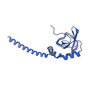 15863_8b6c_M_v1-1
Cryo-EM structure of ribosome-Sec61 in complex with cyclotriazadisulfonamide derivative CK147