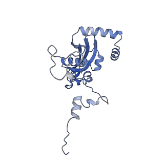 15863_8b6c_N_v1-1
Cryo-EM structure of ribosome-Sec61 in complex with cyclotriazadisulfonamide derivative CK147