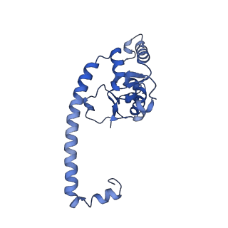 15863_8b6c_O_v1-1
Cryo-EM structure of ribosome-Sec61 in complex with cyclotriazadisulfonamide derivative CK147