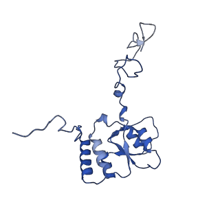 15863_8b6c_Q_v1-1
Cryo-EM structure of ribosome-Sec61 in complex with cyclotriazadisulfonamide derivative CK147