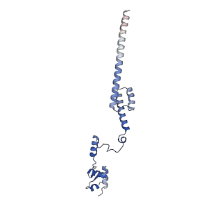 15863_8b6c_R_v1-1
Cryo-EM structure of ribosome-Sec61 in complex with cyclotriazadisulfonamide derivative CK147