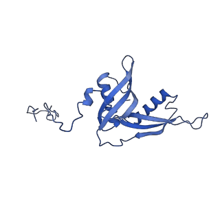 15863_8b6c_S_v1-1
Cryo-EM structure of ribosome-Sec61 in complex with cyclotriazadisulfonamide derivative CK147