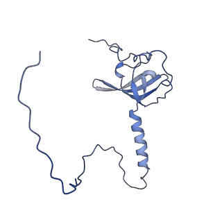 15863_8b6c_T_v1-1
Cryo-EM structure of ribosome-Sec61 in complex with cyclotriazadisulfonamide derivative CK147