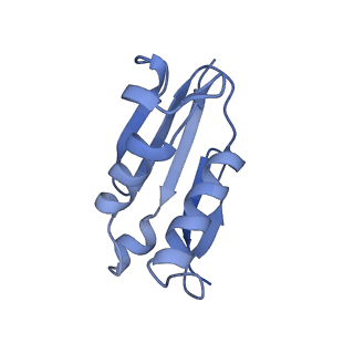 15863_8b6c_U_v1-1
Cryo-EM structure of ribosome-Sec61 in complex with cyclotriazadisulfonamide derivative CK147