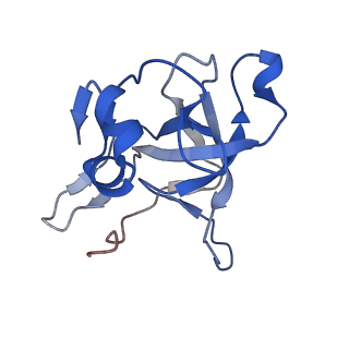 15863_8b6c_V_v1-1
Cryo-EM structure of ribosome-Sec61 in complex with cyclotriazadisulfonamide derivative CK147