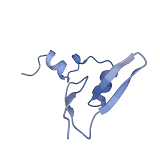 15863_8b6c_W_v1-1
Cryo-EM structure of ribosome-Sec61 in complex with cyclotriazadisulfonamide derivative CK147