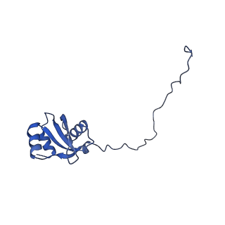 15863_8b6c_X_v1-1
Cryo-EM structure of ribosome-Sec61 in complex with cyclotriazadisulfonamide derivative CK147