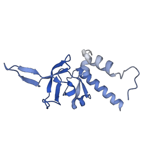 15863_8b6c_Y_v1-1
Cryo-EM structure of ribosome-Sec61 in complex with cyclotriazadisulfonamide derivative CK147