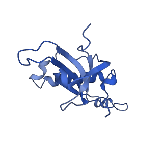 15863_8b6c_Z_v1-1
Cryo-EM structure of ribosome-Sec61 in complex with cyclotriazadisulfonamide derivative CK147