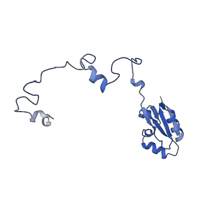 15863_8b6c_a_v1-1
Cryo-EM structure of ribosome-Sec61 in complex with cyclotriazadisulfonamide derivative CK147