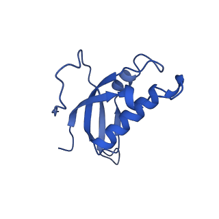 15863_8b6c_d_v1-1
Cryo-EM structure of ribosome-Sec61 in complex with cyclotriazadisulfonamide derivative CK147