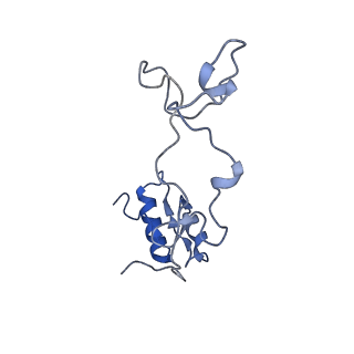 15863_8b6c_e_v1-1
Cryo-EM structure of ribosome-Sec61 in complex with cyclotriazadisulfonamide derivative CK147