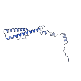 15863_8b6c_h_v1-1
Cryo-EM structure of ribosome-Sec61 in complex with cyclotriazadisulfonamide derivative CK147