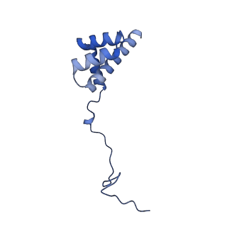 15863_8b6c_i_v1-1
Cryo-EM structure of ribosome-Sec61 in complex with cyclotriazadisulfonamide derivative CK147