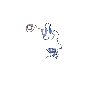 15863_8b6c_j_v1-1
Cryo-EM structure of ribosome-Sec61 in complex with cyclotriazadisulfonamide derivative CK147