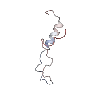 15863_8b6c_l_v1-1
Cryo-EM structure of ribosome-Sec61 in complex with cyclotriazadisulfonamide derivative CK147