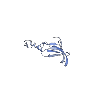 15863_8b6c_o_v1-1
Cryo-EM structure of ribosome-Sec61 in complex with cyclotriazadisulfonamide derivative CK147